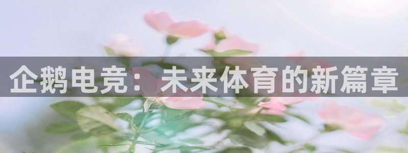 小艾电竞